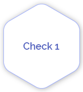 check 1 1