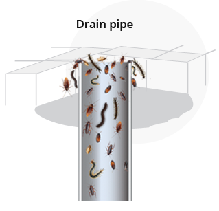drain pipe rightt